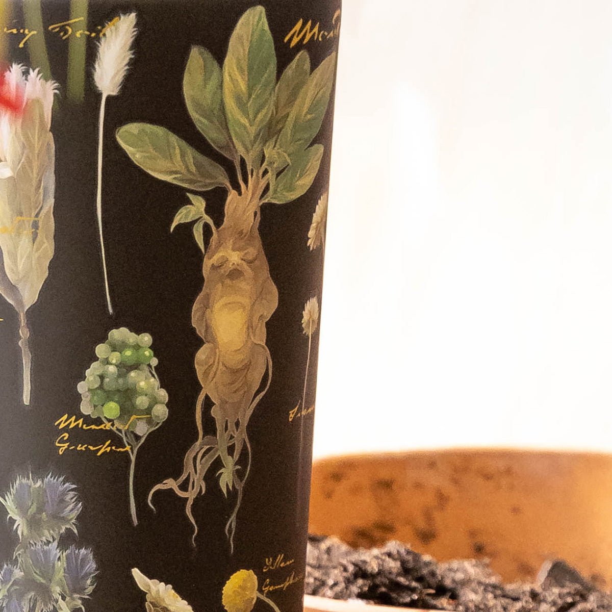 harry-potter-cold-cup-r7 Herbology-3.jpg
